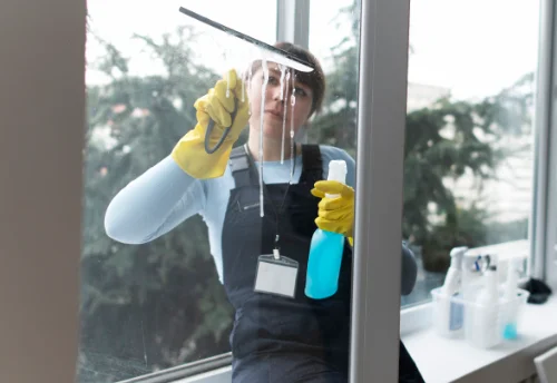 Nettoyage de vitres intérieures et extérieures à Beaumont-sur-Sarthe